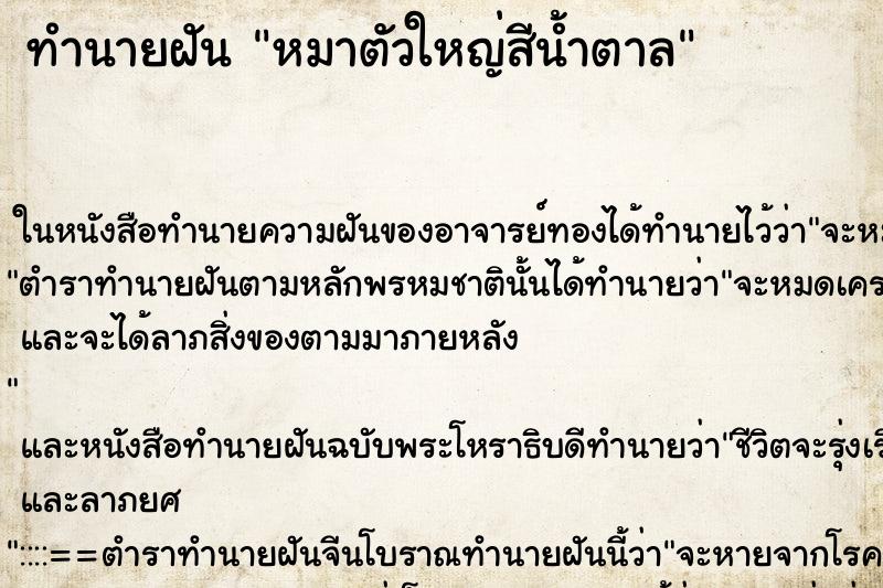 ทำนายฝันทำนายฝันหมาตัวใหญ่สีน้ำตาล