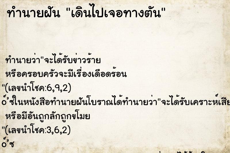ทำนายฝันเดินไปเจอทางตัน ทำนายฝันทำนายฝันเดินไปเจอทางตัน