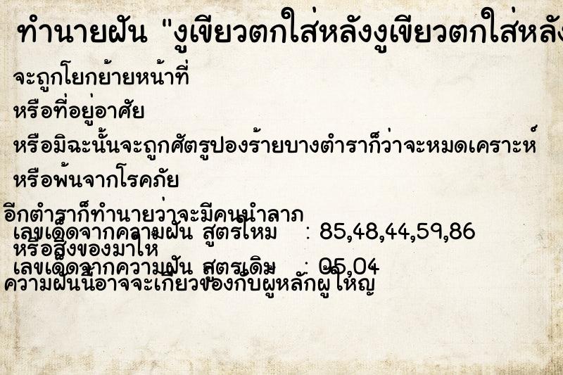 ทำนายฝัน งูเขียวตกใส่หลังงูเขียวตกใส่หลัง ทำนายฝัน งูเขียวตกใส่หลังงูเขียวตกใส่หลัง