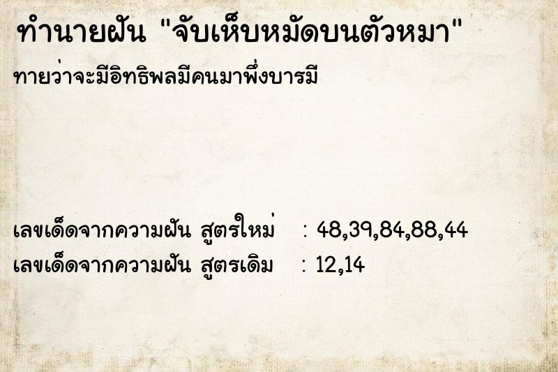 ทำนายฝันทำนายฝันจับเห็บหมัดบนตัวหมา