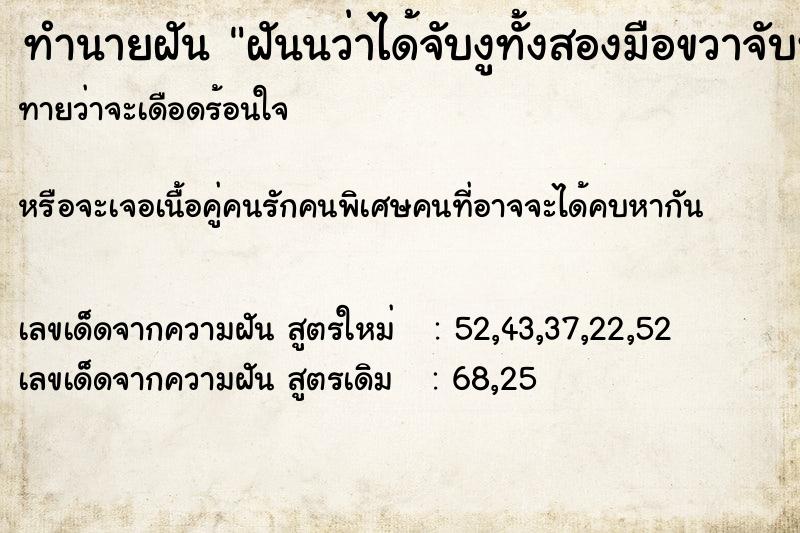 ทำนายฝันฝันนว่าได้จับงูทั้งสองมือขวาจับหัวฃ้ายจับหาง ทำนายฝันทำนายฝันฝันนว่าได้จับงูทั้งสองมือขวาจับหัวฃ้ายจับหาง