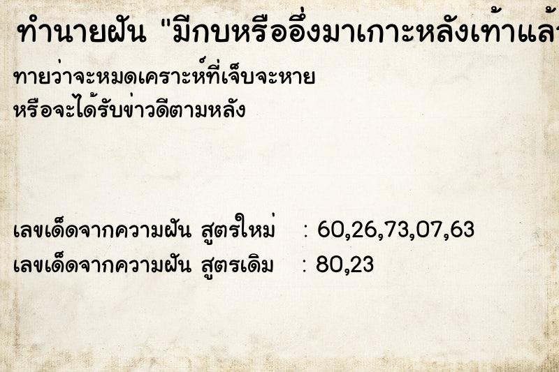 ทำนายฝันมีกบหรืออึ่งมาเกาะหลังเท้าแล้วสลัดมันหลุดไป ทำนายฝันทำนายฝันมีกบหรืออึ่งมาเกาะหลังเท้าแล้วสลัดมันหลุดไป