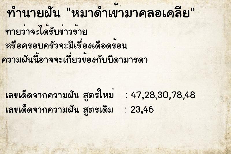 ทำนายฝันหมาดำเข้ามาคลอเคลีย ทำนายฝันทำนายฝันหมาดำเข้ามาคลอเคลีย