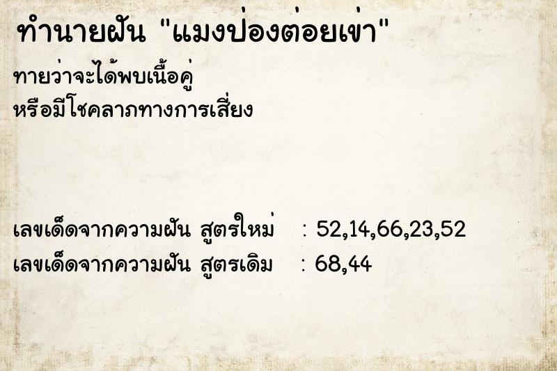 ทำนายฝันแมงป่องต่อยเข่า ทำนายฝันทำนายฝันแมงป่องต่อยเข่า