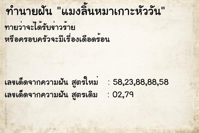 ทำนายฝัน แมงลิ้นหมาเกาะหัววัน ทำนายฝัน แมงลิ้นหมาเกาะหัววัน