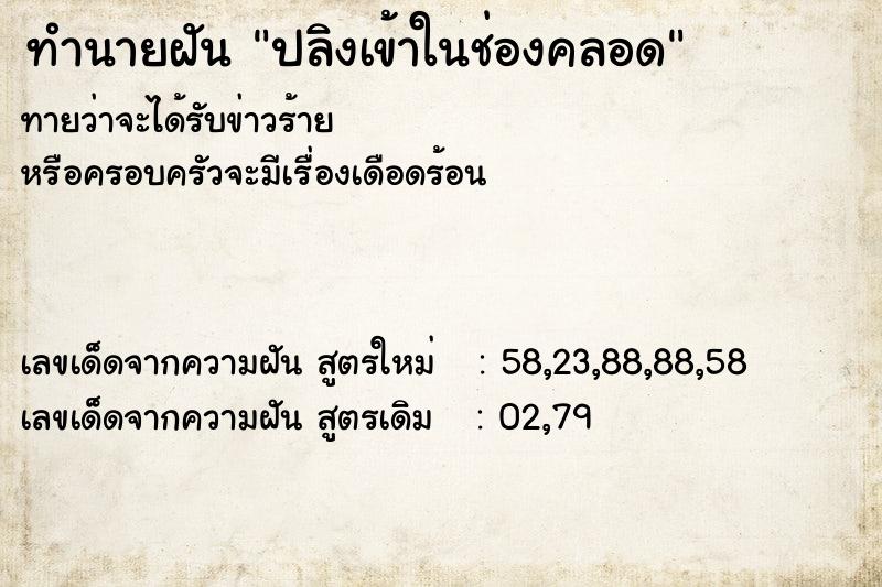 ทำนายฝันปลิงเข้าในช่องคลอด ทำนายฝันทำนายฝันปลิงเข้าในช่องคลอด