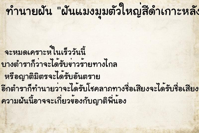 ทำนายฝัน ฝันแมงมุมตัวใหญ่สีดำเกาะหลัง ทำนายฝัน ฝันแมงมุมตัวใหญ่สีดำเกาะหลัง