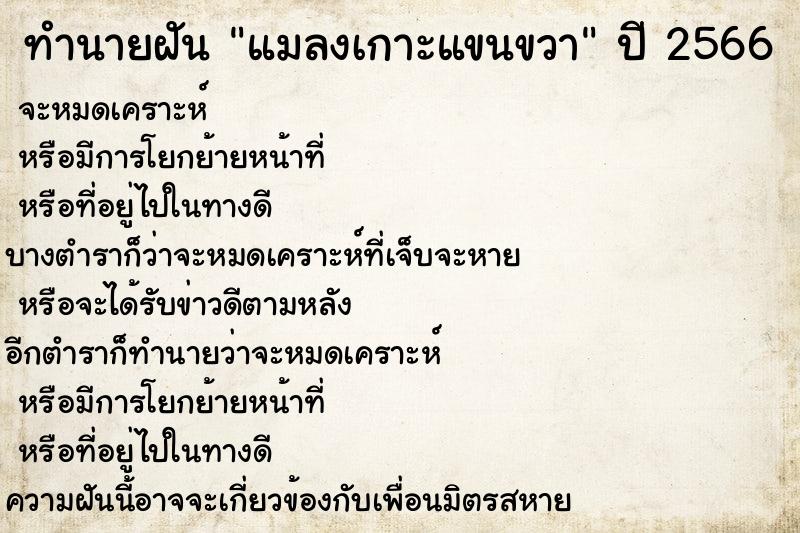 ทำนายฝัน แมลงเกาะแขนขวา ทำนายฝัน แมลงเกาะแขนขวา