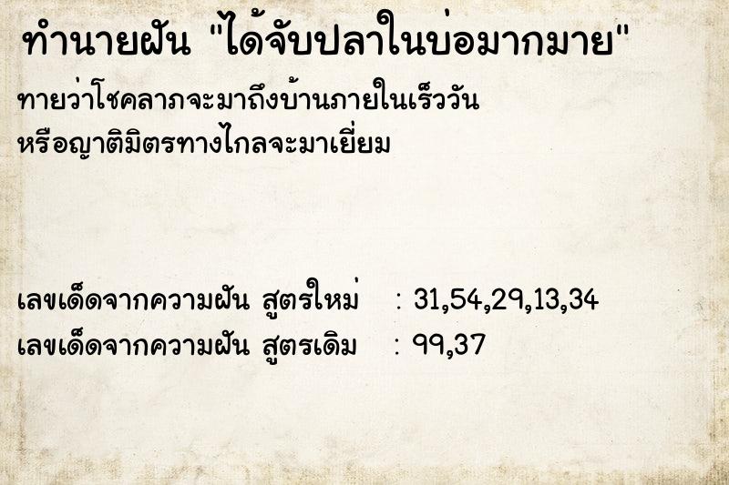 ทำนายฝันทำนายฝันได้จับปลาในบ่อมากมาย