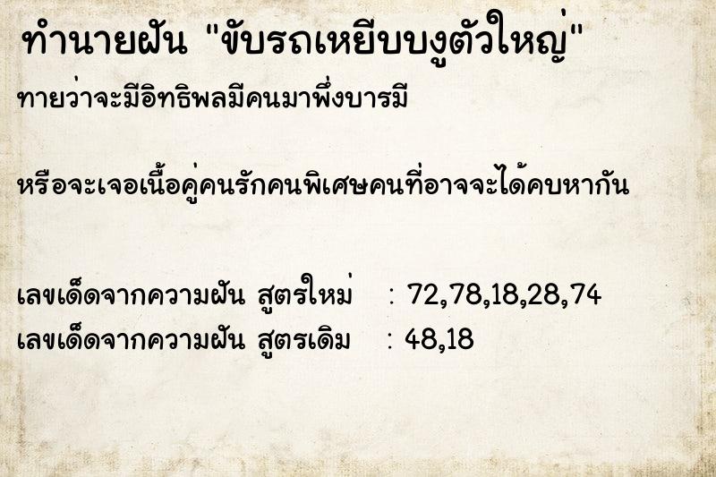 ทำนายฝันขับรถเหยีบบงูตัวใหญ่ ทำนายฝันทำนายฝันขับรถเหยีบบงูตัวใหญ่