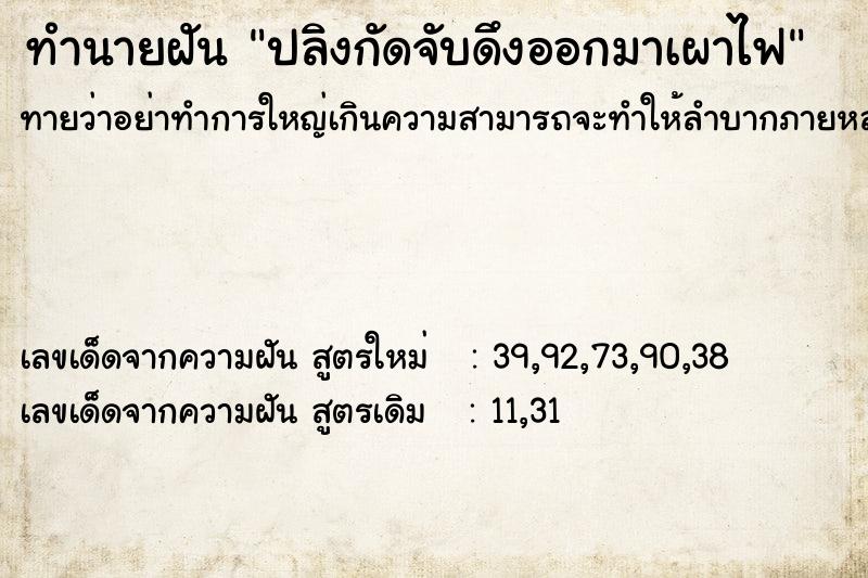 ทำนายฝัน ปลิงกัดจับดึงออกมาเผาไฟ ทำนายฝัน ปลิงกัดจับดึงออกมาเผาไฟ