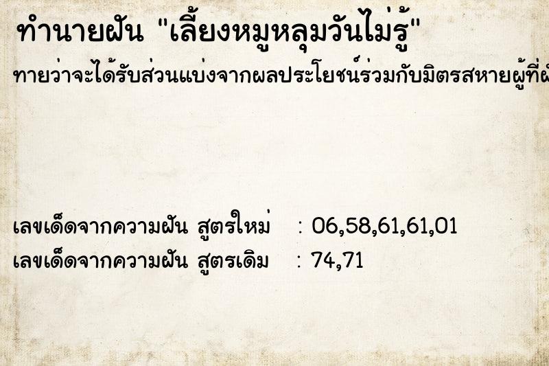 ทำนายฝันทำนายฝันเลี้ยงหมูหลุมวันไม่รู้