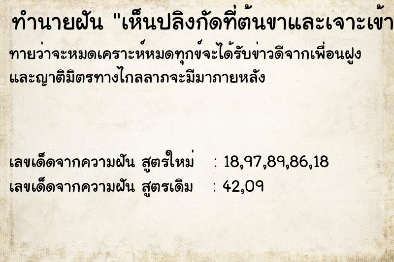 ทำนายฝันทำนายฝันเห็นปลิงกัดที่ต้นขาและเจาะเข้าเส้นเลือด