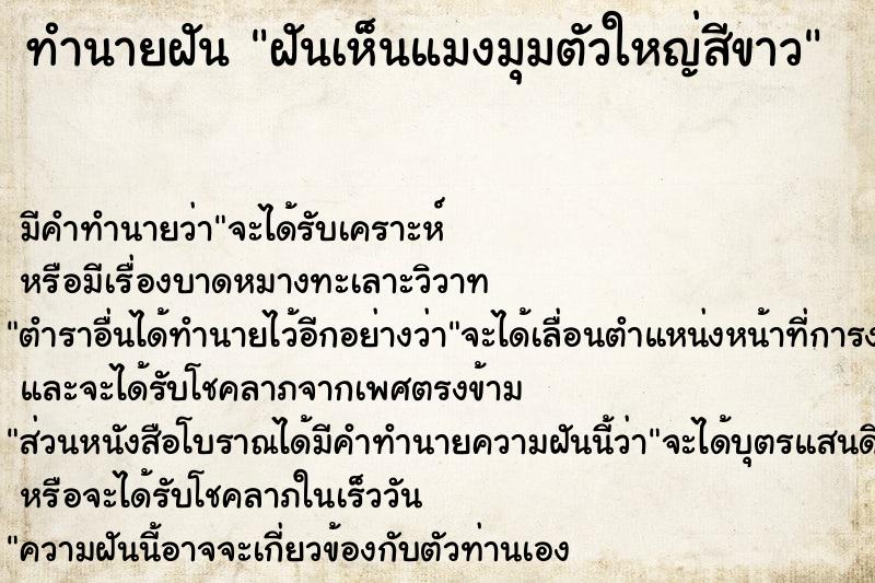 ทำนายฝันทำนายฝันฝันเห็นแมงมุมตัวใหญ่สีขาว