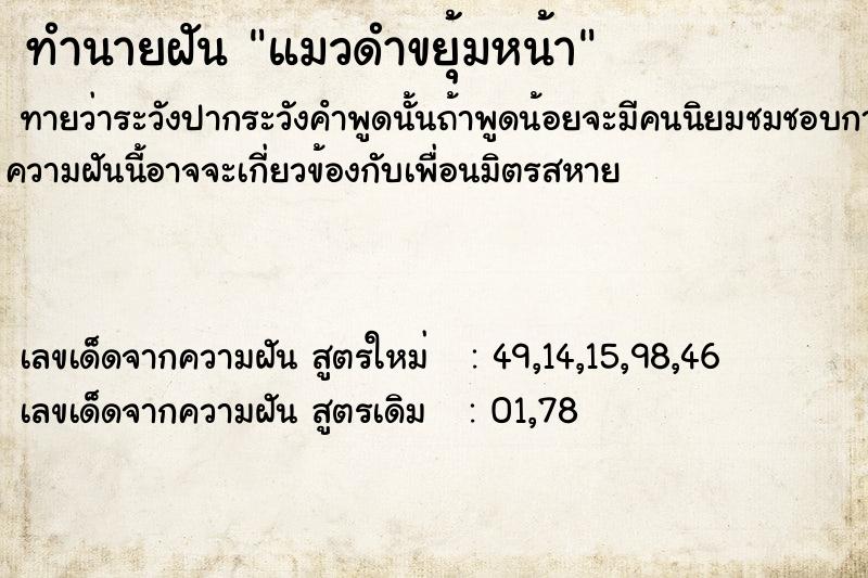 ทำนายฝันทำนายฝันแมวดำขยุ้มหน้า