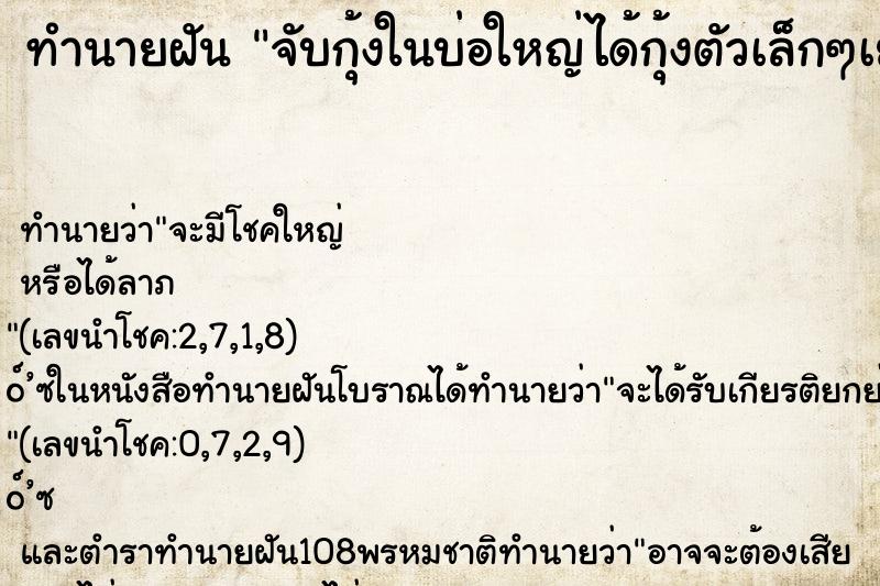 ทำนายฝันจับกุ้งในบ่อใหญ่ได้กุ้งตัวเล็กๆเยอะ ทำนายฝันทำนายฝันจับกุ้งในบ่อใหญ่ได้กุ้งตัวเล็กๆเยอะ