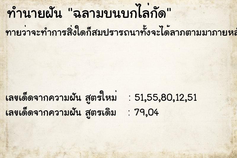 ทำนายฝันฉลามบนบกไล่กัด ทำนายฝันทำนายฝันฉลามบนบกไล่กัด