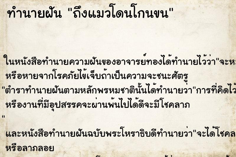 ทำนายฝัน ถึงแมวโดนโกนขน ทำนายฝัน ถึงแมวโดนโกนขน