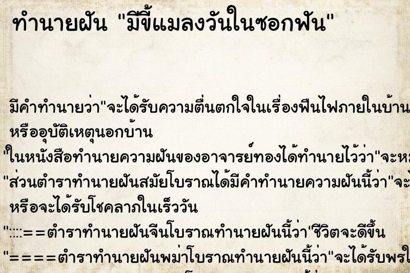 ทำนายฝันมีขี้แมลงวันในซอกฟัน ทำนายฝันทำนายฝันมีขี้แมลงวันในซอกฟัน