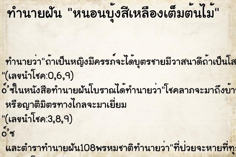 ทำนายฝัน หนอนบุ้งสีเหลืองเต็มต้นไม้ ทำนายฝัน หนอนบุ้งสีเหลืองเต็มต้นไม้