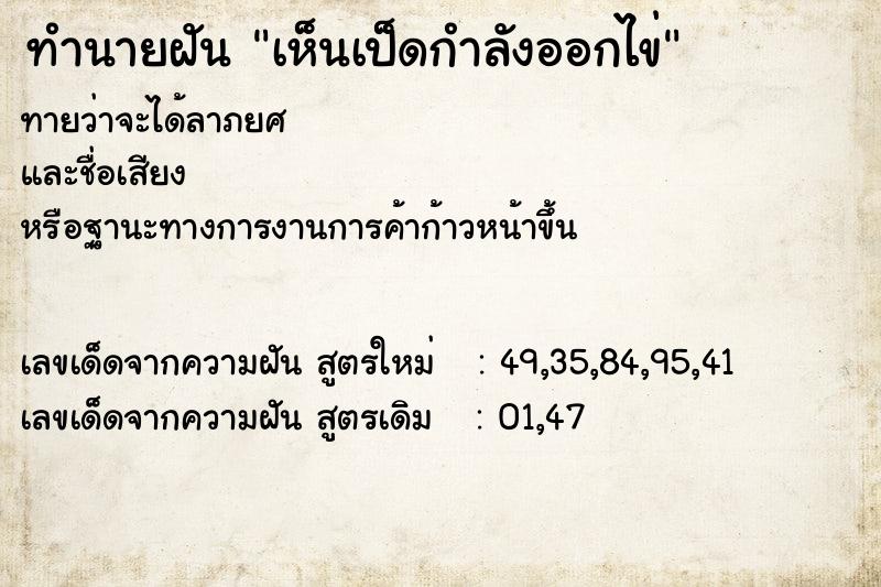 ทำนายฝันเห็นเป็ดกำลังออกไข่ ทำนายฝันทำนายฝันเห็นเป็ดกำลังออกไข่