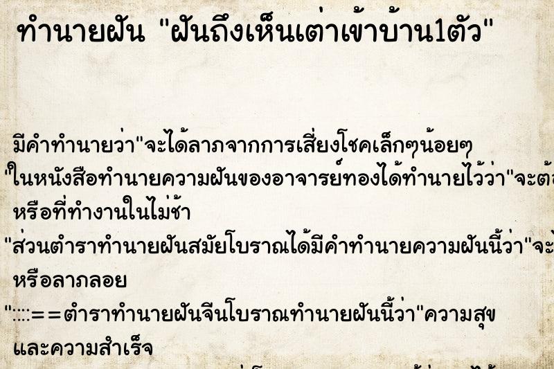 ทำนายฝันทำนายฝันฝันถึงเห็นเต่าเข้าบ้าน1ตัว