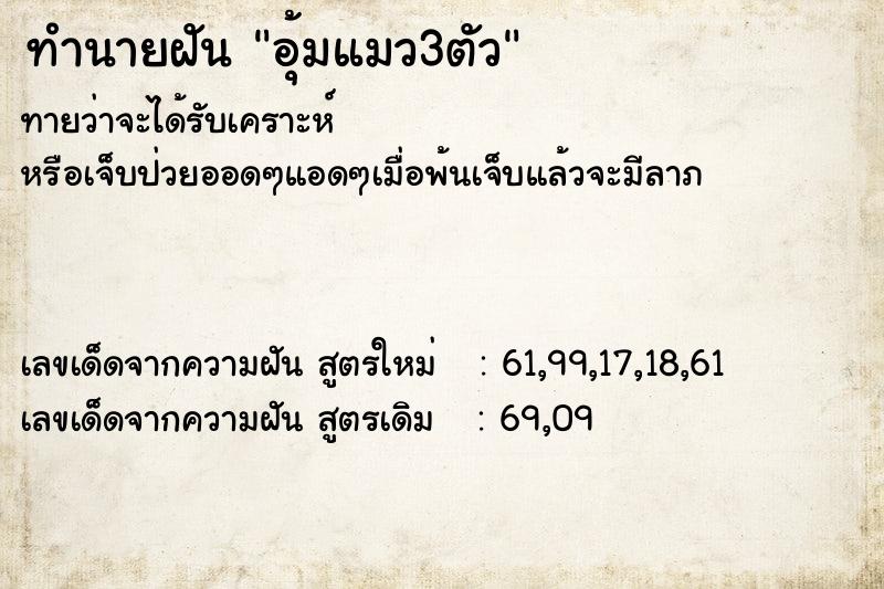 ทำนายฝันทำนายฝันอุ้มแมว3ตัว