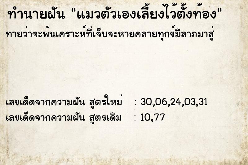 ทำนายฝัน แมวตัวเองเลี้ยงไว้ตั้งท้อง ทำนายฝัน แมวตัวเองเลี้ยงไว้ตั้งท้อง