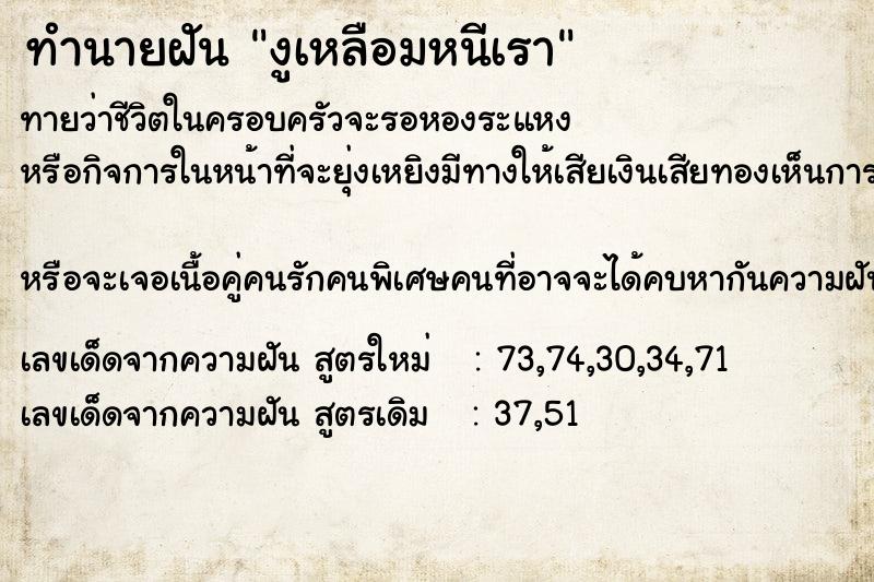 ทำนายฝัน งูเหลือมหนีเรา ทำนายฝัน งูเหลือมหนีเรา