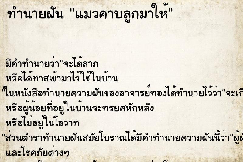 ทำนายฝัน แมวคาบลูกมาให้ ทำนายฝัน แมวคาบลูกมาให้
