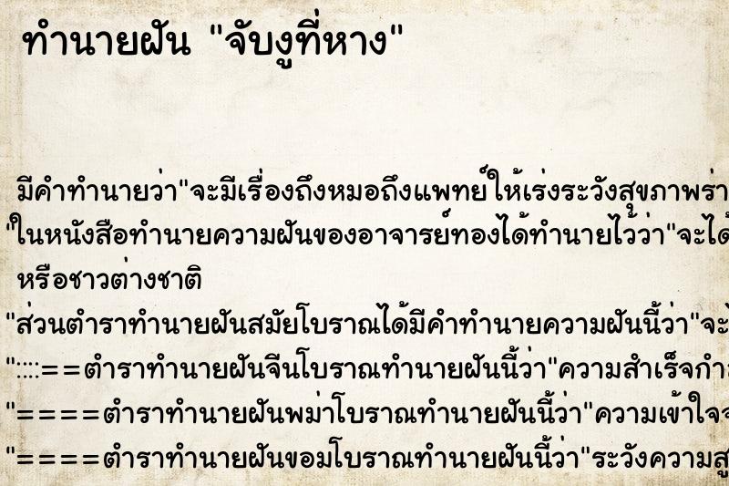 ทำนายฝันจับงูที่หาง ทำนายฝันทำนายฝันจับงูที่หาง