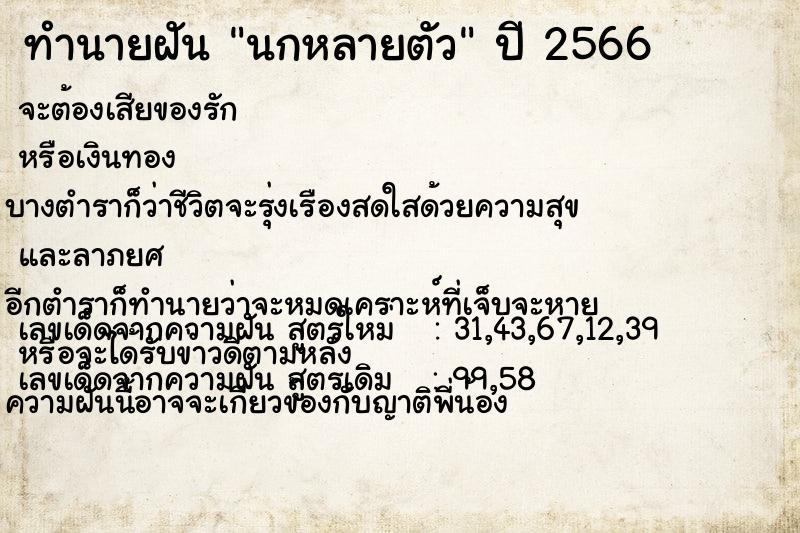 ทำนายฝัน นกหลายตัว ทำนายฝัน นกหลายตัว