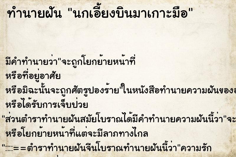 ทำนายฝัน นกเอี้ยงบินมาเกาะมือ ทำนายฝัน นกเอี้ยงบินมาเกาะมือ