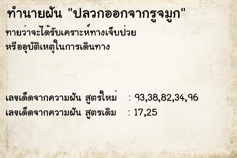 ทำนายฝันทำนายฝันปลวกออกจากรูจมูก