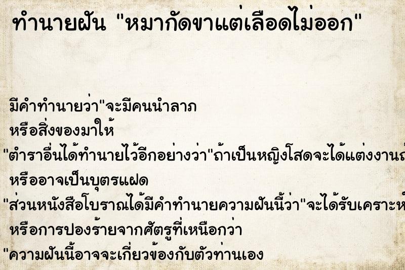 ทำนายฝัน หมากัดขาแต่เลือดไม่ออก ทำนายฝัน หมากัดขาแต่เลือดไม่ออก