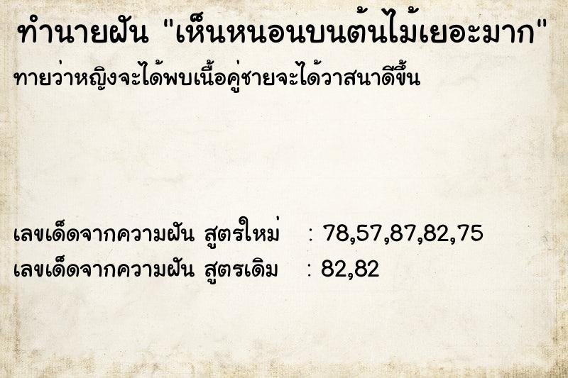 ทำนายฝันทำนายฝันเห็นหนอนบนต้นไม้เยอะมาก