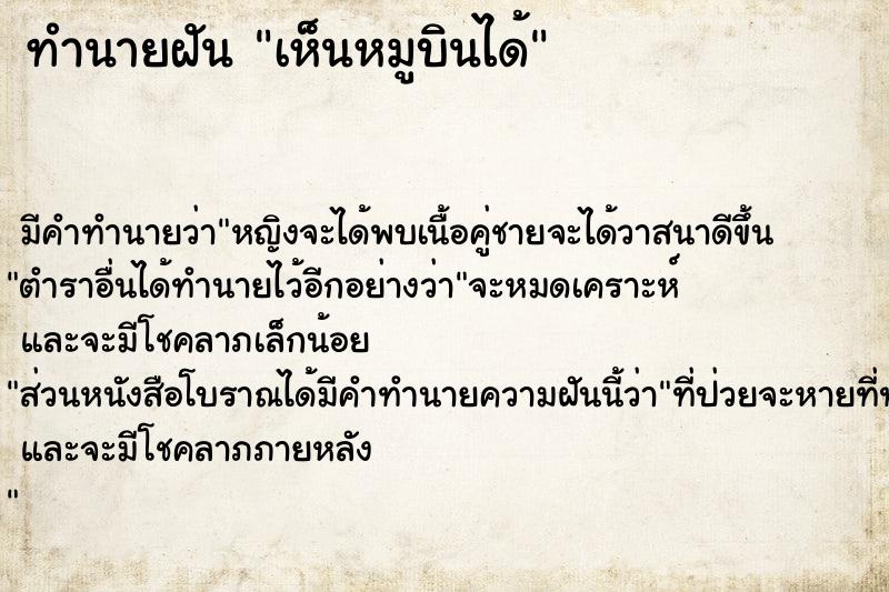 ทำนายฝัน เห็นหมูบินได้ ทำนายฝัน เห็นหมูบินได้