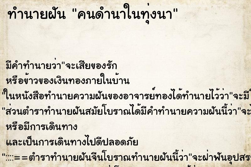 ทำนายฝัน คนดำนาในทุ่งนา ทำนายฝัน คนดำนาในทุ่งนา