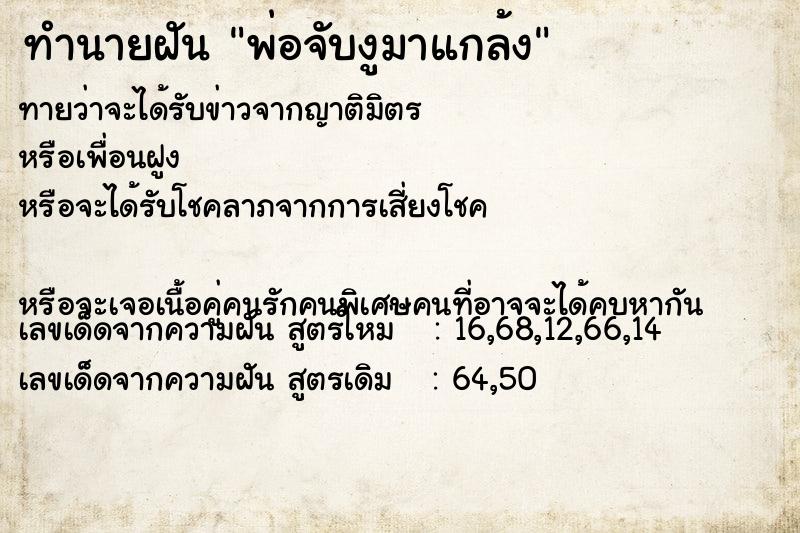 ทำนายฝันพ่อจับงูมาแกล้ง ทำนายฝันทำนายฝันพ่อจับงูมาแกล้ง