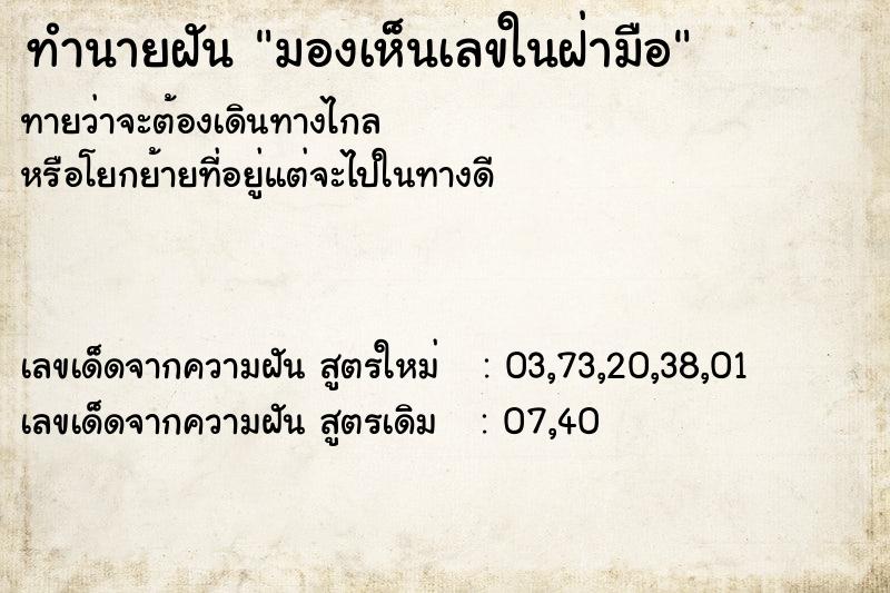 ทำนายฝันมองเห็นเลขในฝ่ามือ ทำนายฝันทำนายฝันมองเห็นเลขในฝ่ามือ