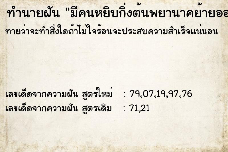 ทำนายฝันมีคนหยิบกิ่งต้นพยานาคย้ายออกจากที่เดิม ทำนายฝันทำนายฝันมีคนหยิบกิ่งต้นพยานาคย้ายออกจากที่เดิม