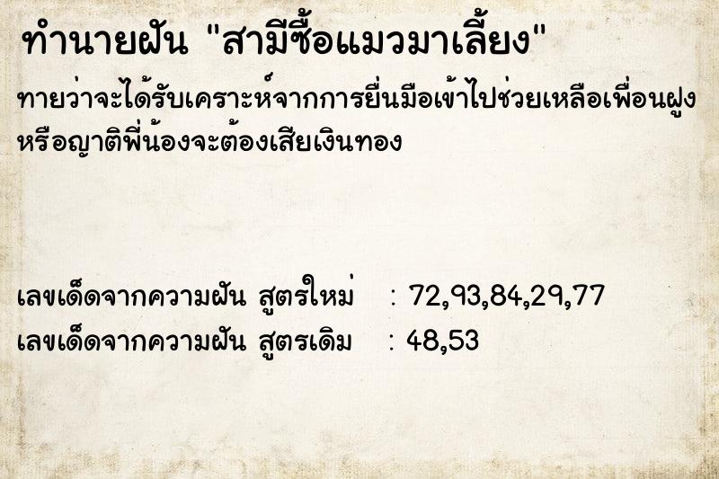 ทำนายฝันทำนายฝันสามีซื้อแมวมาเลี้ยง