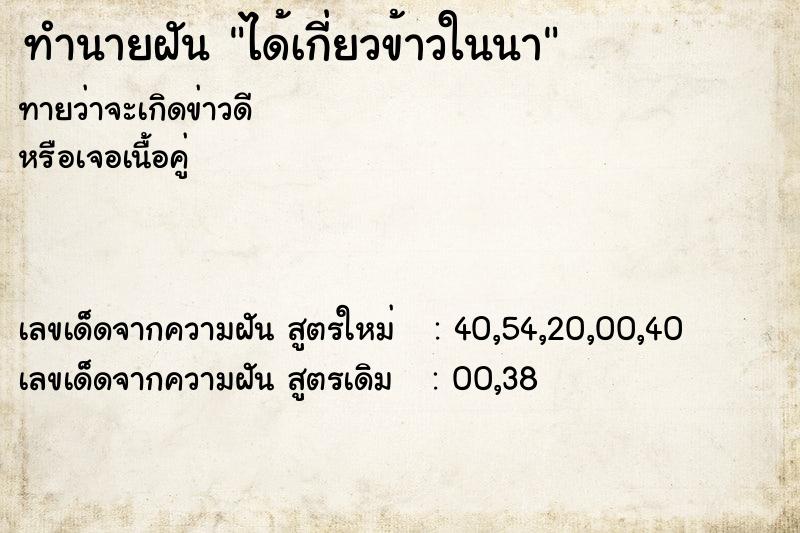 ทำนายฝันทำนายฝันได้เกี่ยวข้าวในนา