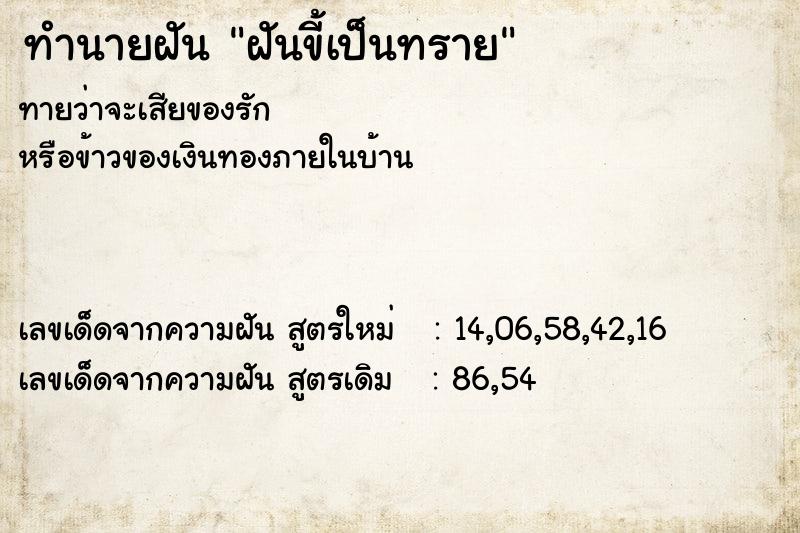 ทำนายฝัน ฝันขี้เป็นทราย ทำนายฝัน ฝันขี้เป็นทราย