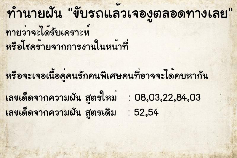 ทำนายฝัน ขับรถแล้วเจองูตลอดทางเลย ทำนายฝัน ขับรถแล้วเจองูตลอดทางเลย