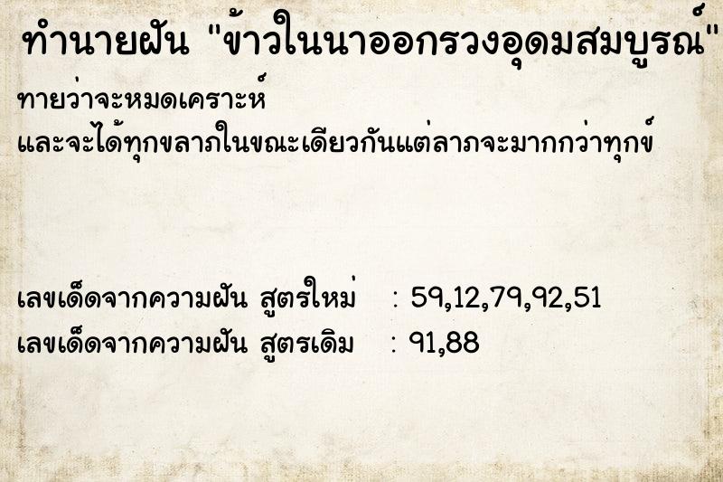 ทำนายฝันข้าวในนาออกรวงอุดมสมบูรณ์ ทำนายฝันทำนายฝันข้าวในนาออกรวงอุดมสมบูรณ์