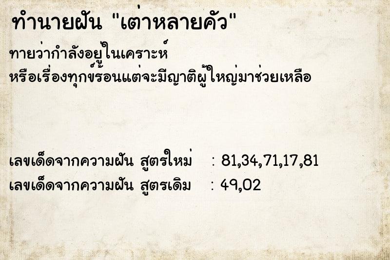 ทำนายฝันทำนายฝันเต่าหลายคัว