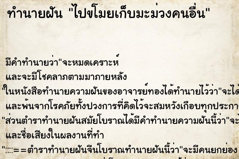 ทำนายฝัน ไปขโมยเก็บมะม่วงคนอื่น ทำนายฝัน ไปขโมยเก็บมะม่วงคนอื่น