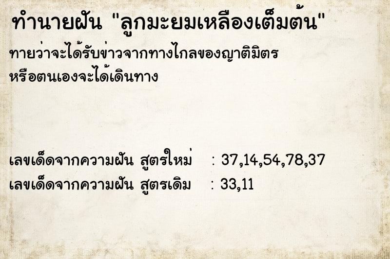 ทำนายฝันทำนายฝันลูกมะยมเหลืองเต็มต้น
