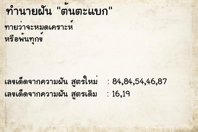 ทำนายฝันต้นตะแบก ทำนายฝันทำนายฝันต้นตะแบก